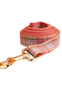 Dog Leash
