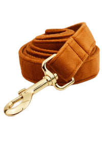 Dog leash3