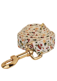 Dog Leash