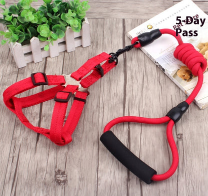 dog chain, dog collar, pet harness rope