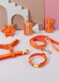 Orange Velvet