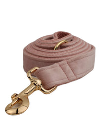 Dog leash2