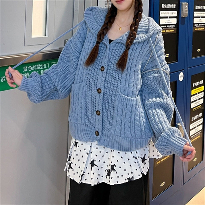 South Korea Retro Twist Hooded Sweater