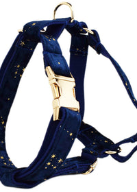 Dog vest2