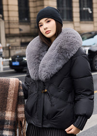 Black Gray Collar