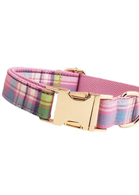 Dog Collar