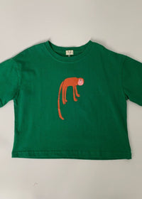 Green Monkey