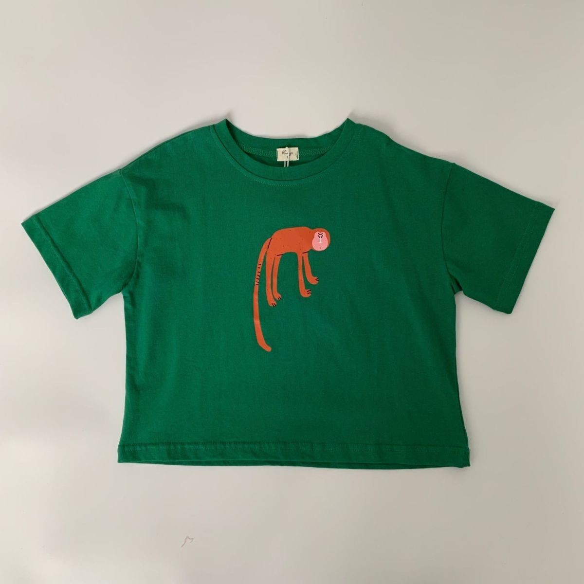 The Trendy Duo: New-Season Fashionable T-Shirt for Boys & Girls