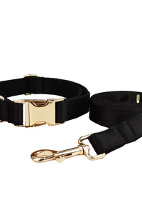 Dog Collar Dog Leash
