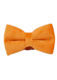 Bow3