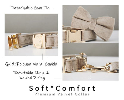 Multiple Colour Velvet Personalise Dog Collar Leash Set With Bow