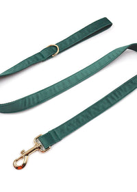 Leash