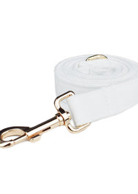 Dog leash2