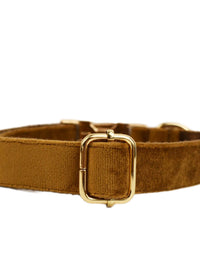 Dog pen2
