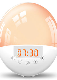 Basic model Two sets of alarm