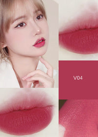 V04COLOR