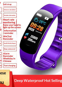 C1plus Purple