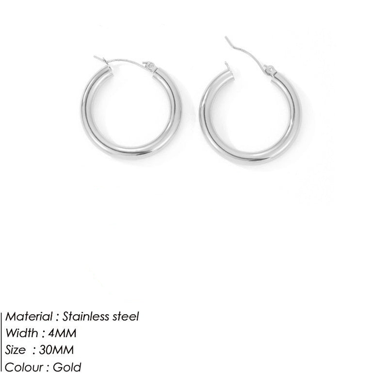 Women's Stainless Steel Fabulous Personality Earrings