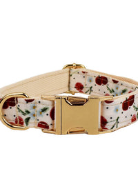 Dog Collar