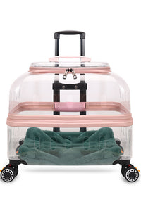 Transparent Pink