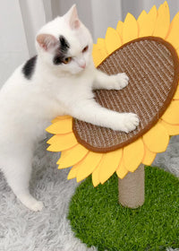Imitated lawn sunflower
