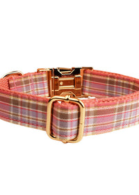 Dog Collar