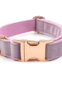 Purple Buckle Collar
