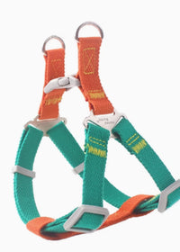 Orange Green