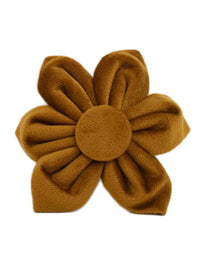 Flower2