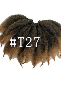 T27Color