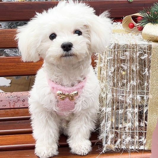 Dog Fleece Vest Chest Strap Pet Hand Holding Rope