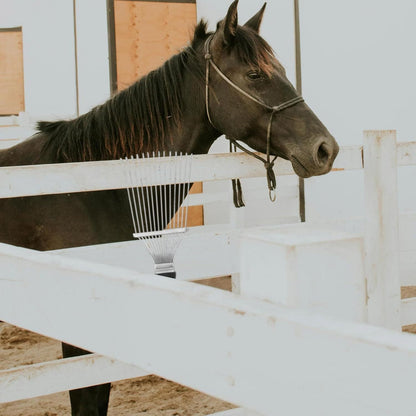 Dematting Brush Rake Comb Pet Comb Rake Comb Grooming Brush Hand Undercoat Scrubber Pet Combing Kit For Horses Grooming Rake Dogs Dog Rake