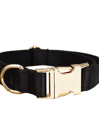 Dog Collar