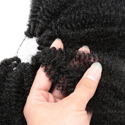 Dreadlocks Marley Braids Pointed Tail