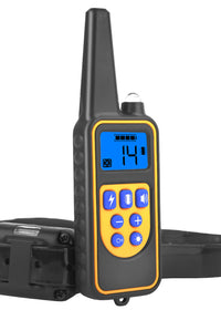 Collar with Remote
