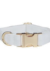 Dog pen2