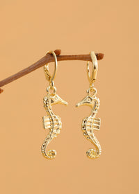 Seahorse