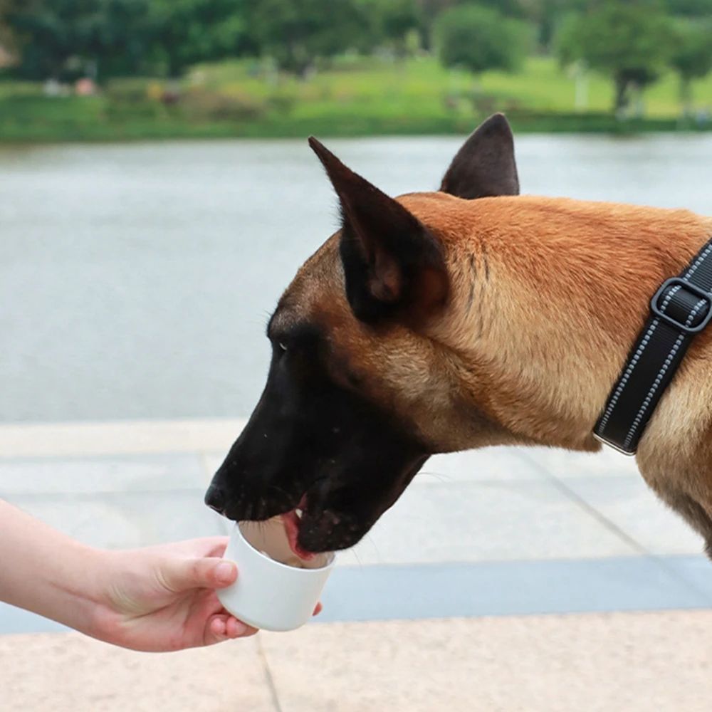 Pet Oasis: Portable 2-in-1 Water & Food Feeder Bowl