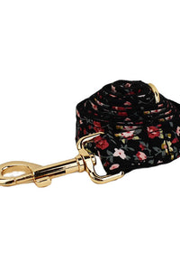 Dog Leash