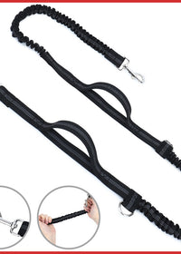 Dog leash
