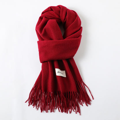 Simple Tassel Shawl Warm Artificial Cashmere Scarf