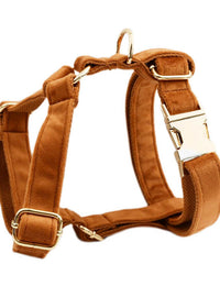 Dog vest3