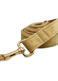 Dog leash3