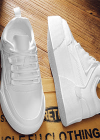 ZK802 White