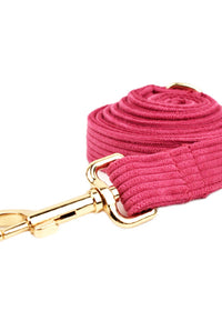 Dog leash1