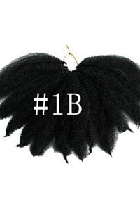 1Bcolor