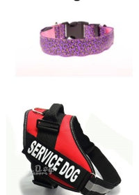 Pink RechargeableANDRed