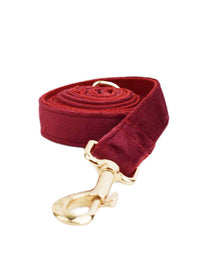 Dog leash1
