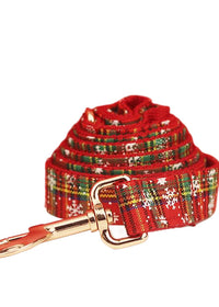 Dog Leash