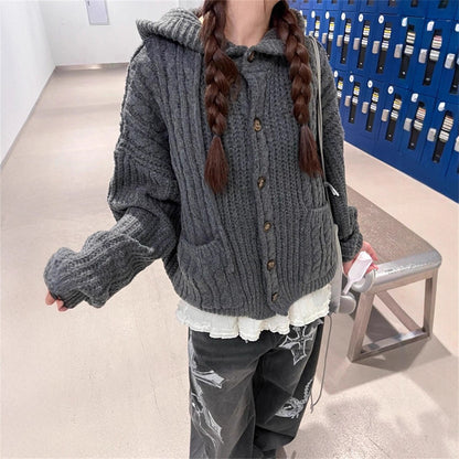 South Korea Retro Twist Hooded Sweater